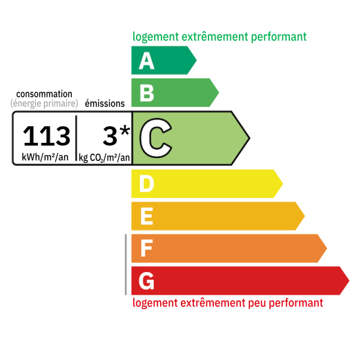 D.P.E : C (113)