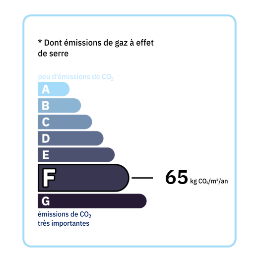 G.E.S : F (65)